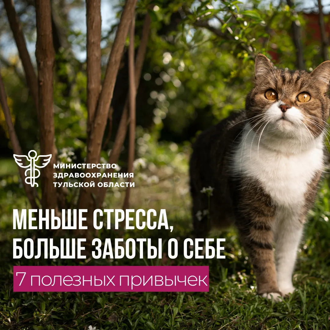 Знаете, как уменьшить стресс? 🤔