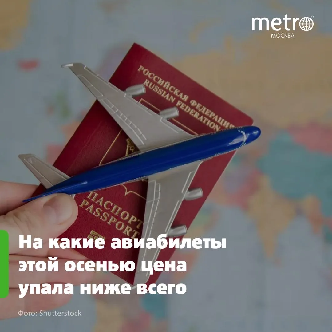 ✈️ Стало известно, на какие авиабилеты этой осенью цена упала ниже всего