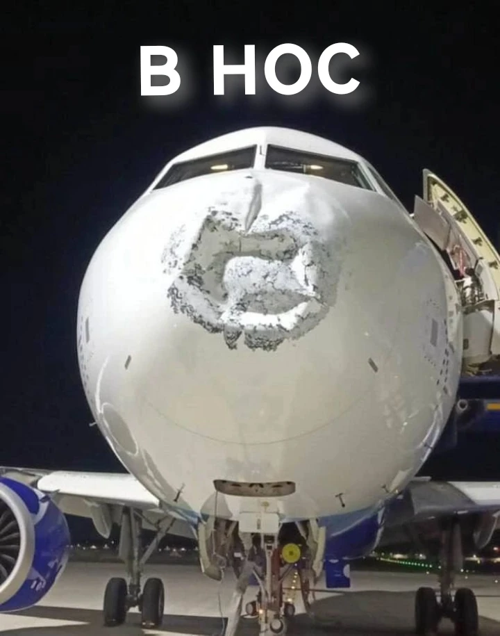 Все живые - сели