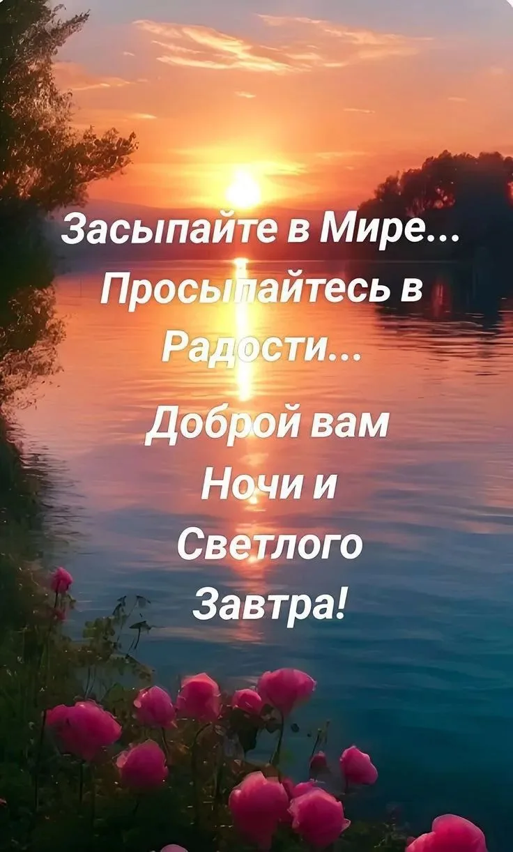 ❤️🔶🩷❤️🔶🩷❤️🔶🩷