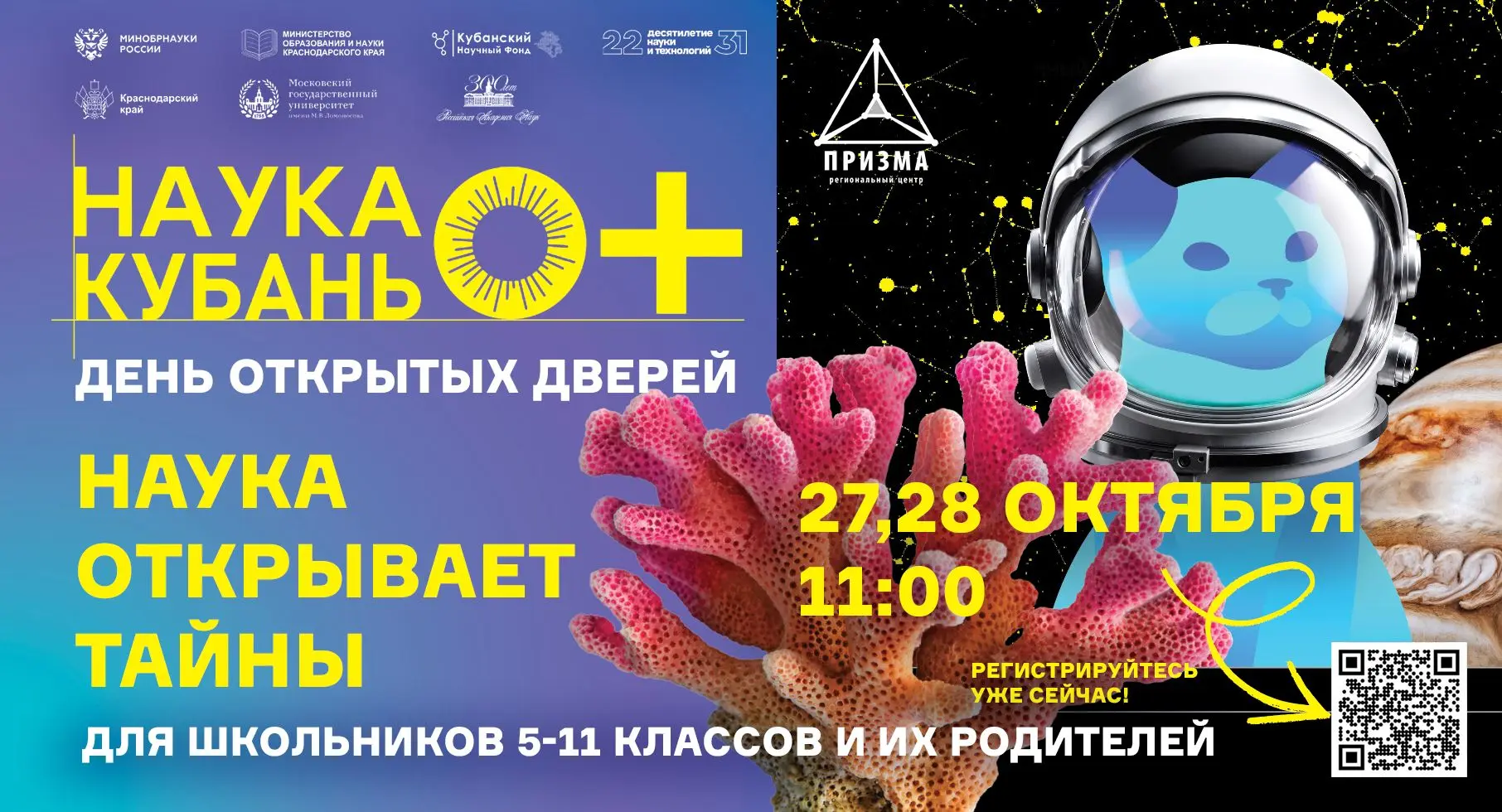 Дорогие друзья!