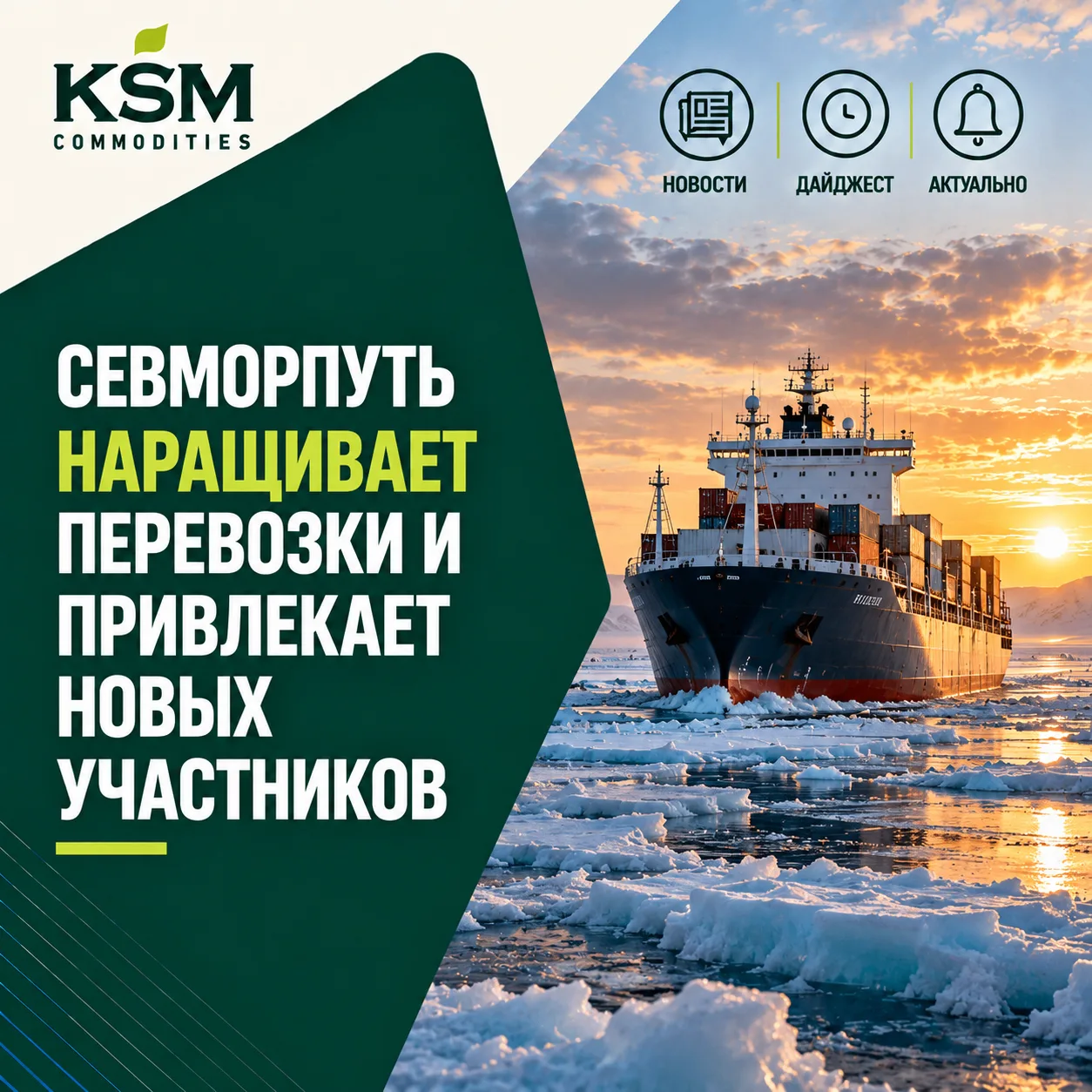 🚢 Севморпуть наращивает перевозки и привлекает новых участников