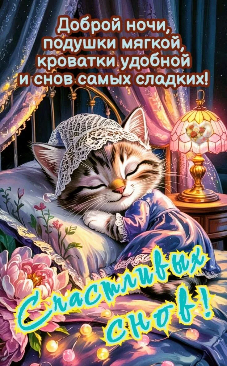 Мирной ночи