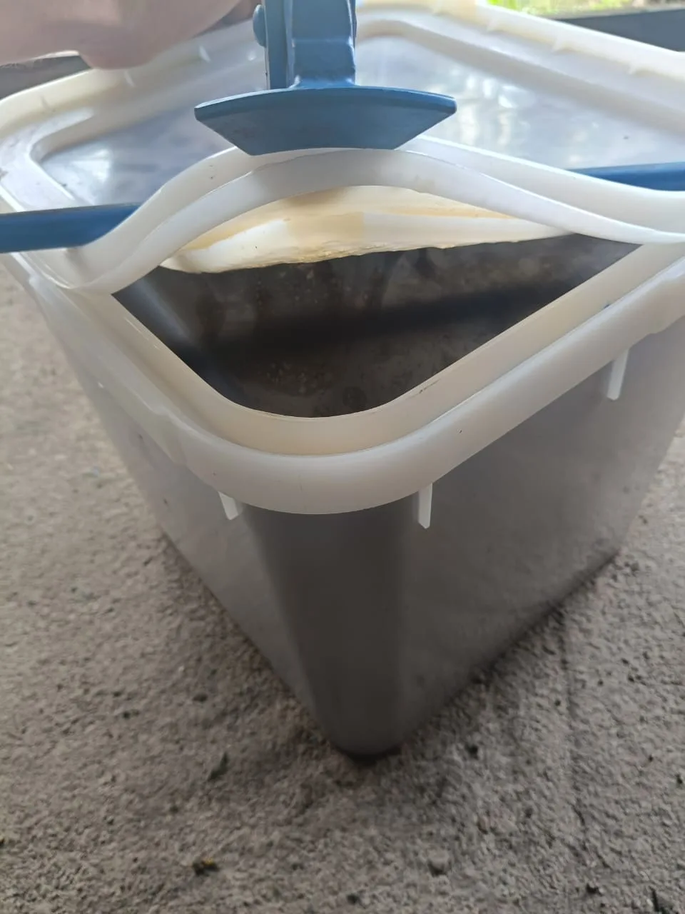 Продам Алтайский мёд🍯 с личной пасеки, урожай 2026 года. По всем вопросам обращаться п...