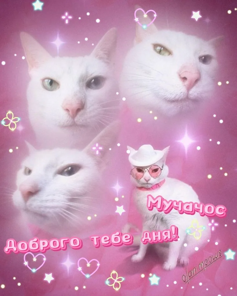 Вы видели прогноз? Опять обещают +21°С, но будет облачно 🥰