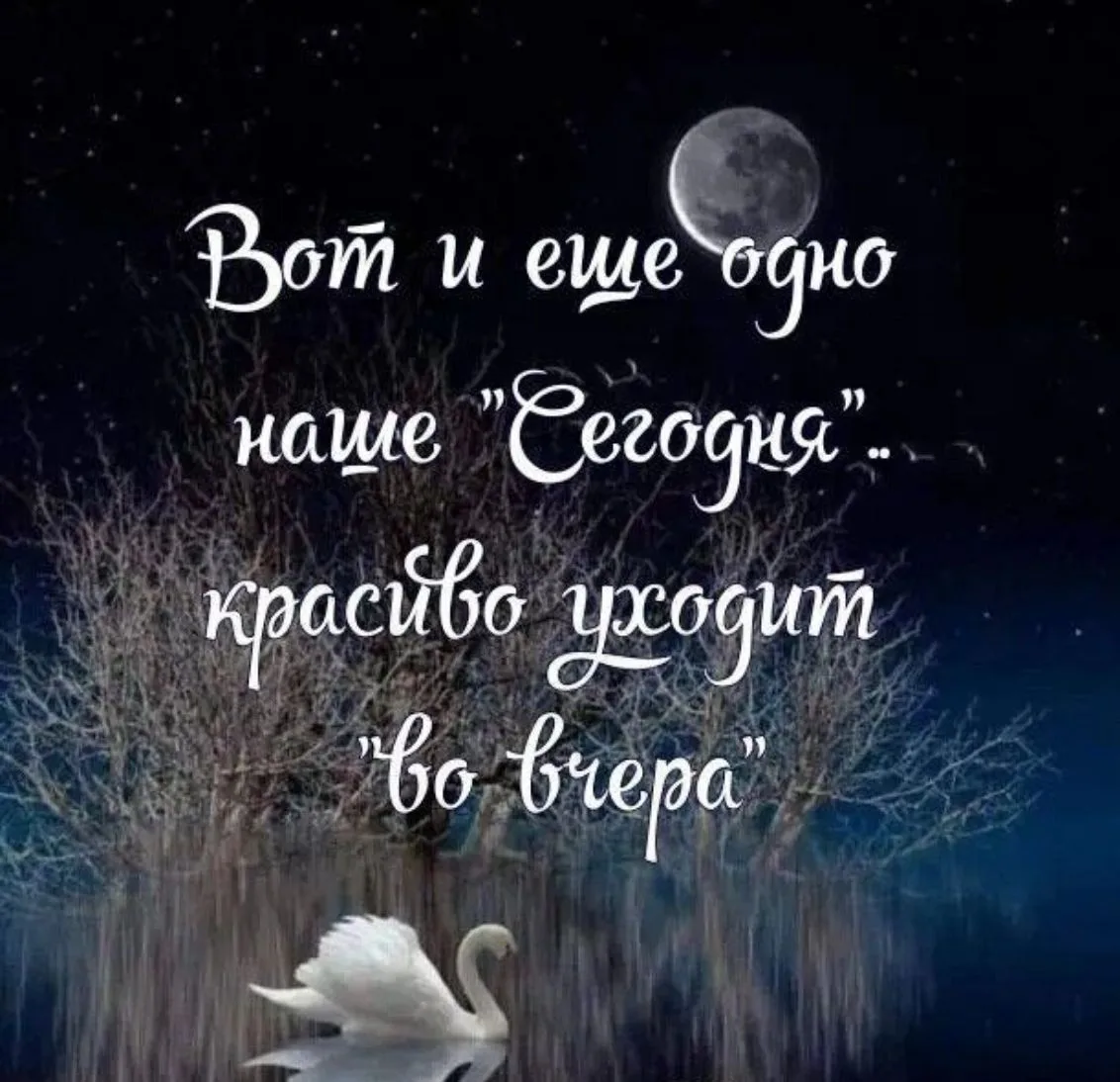 Спокойной ночи 😴🌙