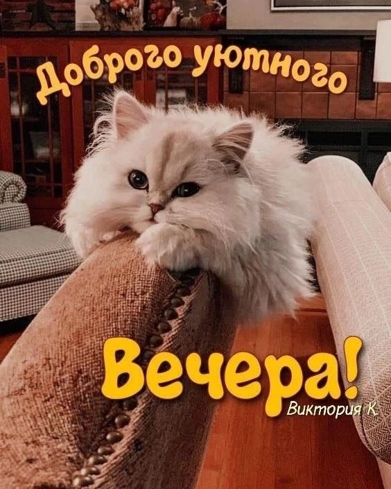 Красивые открытки❤️