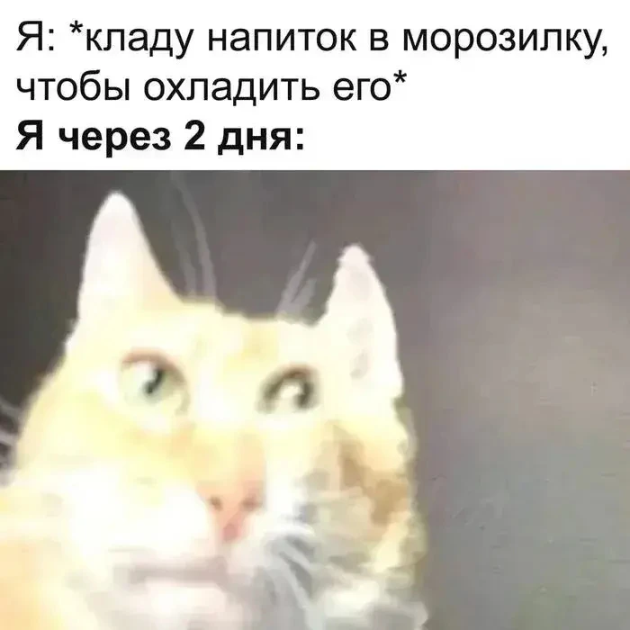 С шоколадками то же самое