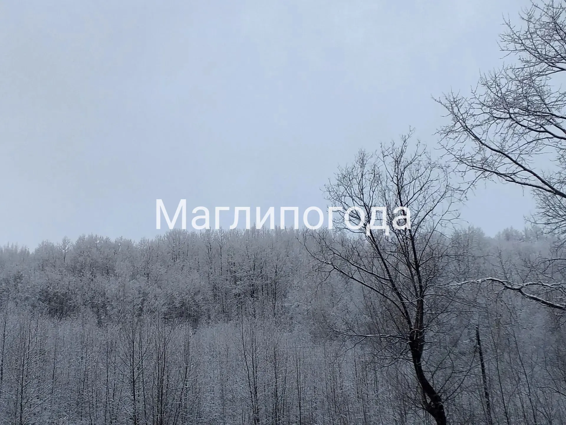 Вот еще снега вам в ленту с села Молодёжное ❄️❄️❄️