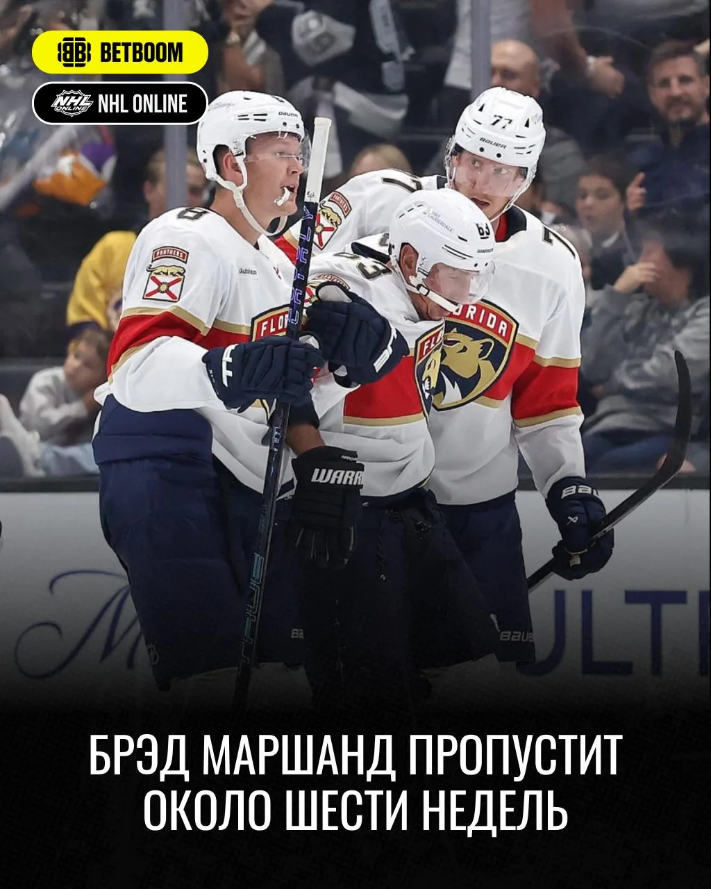 🐻❌ Брэд Маршанд пропустит около шести недель из-за травмы ноги, которую он получил в м...