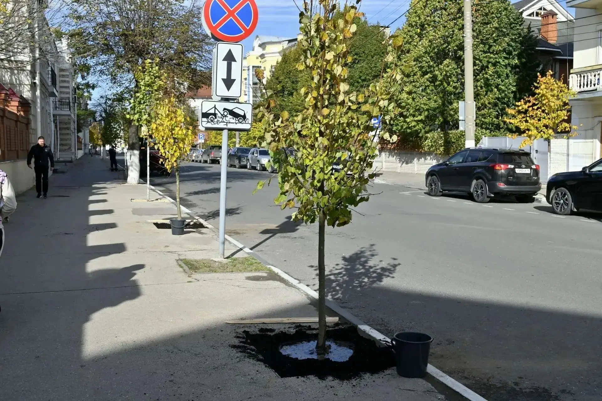 🌿Павел Малков принял участие в региональной акции по озеленению