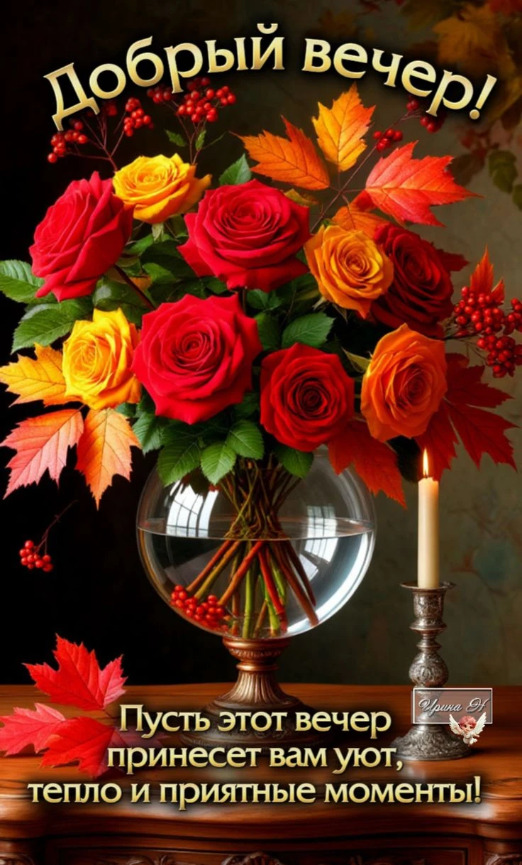 Доброго вечера! Отличного отдыха! ✨🌹