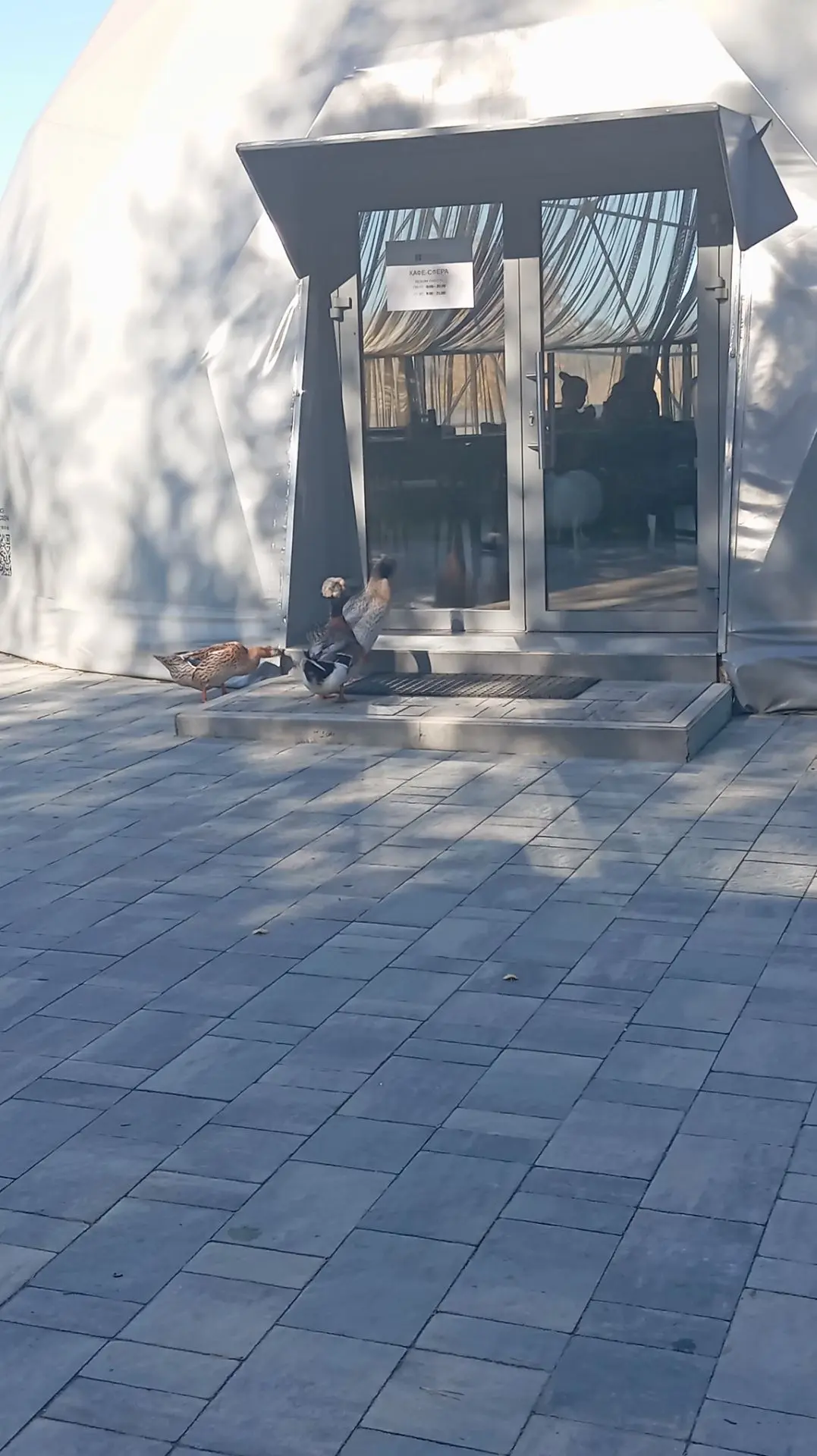 Как тут хорошо