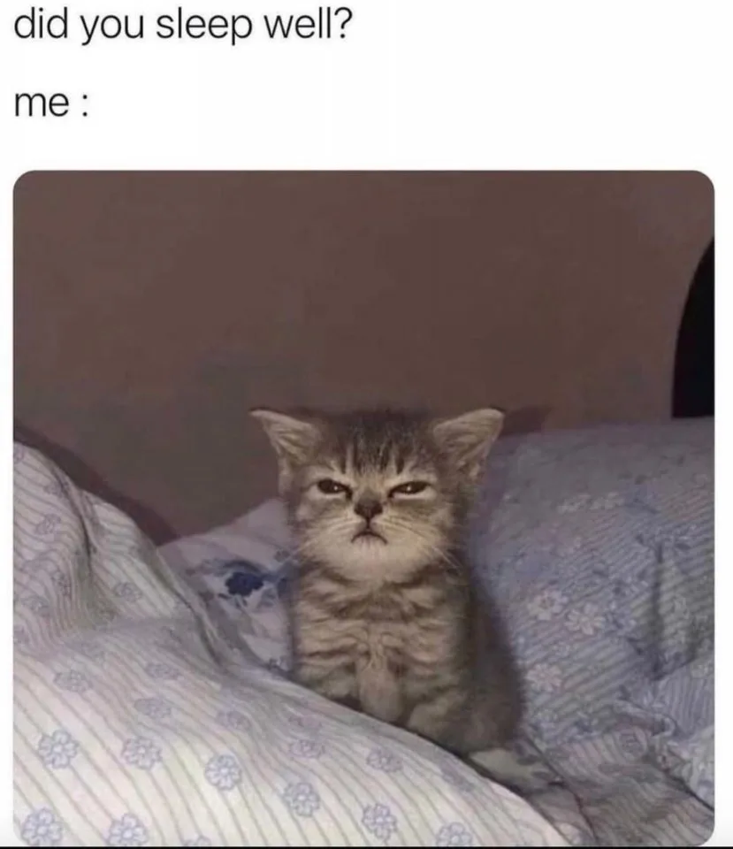 И так каждое утро 😅