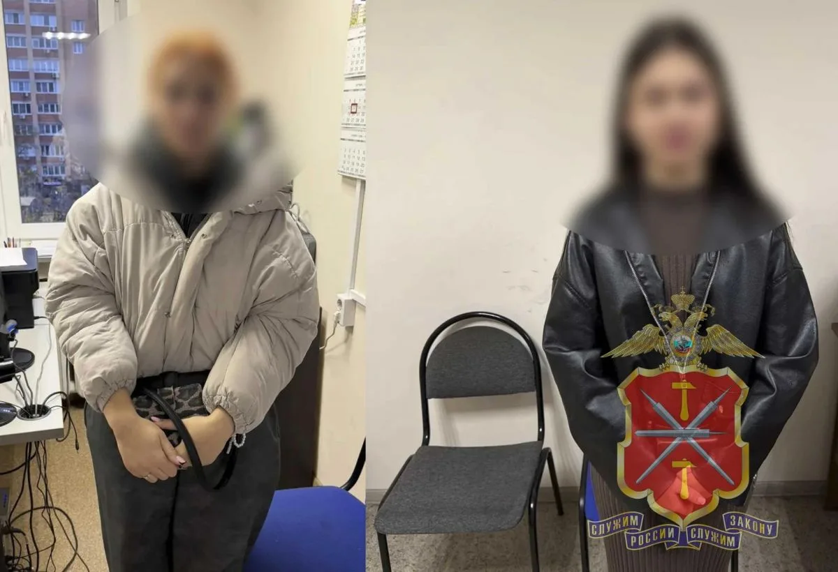Тулячки пошли на кражу ради "украшения интерьера"