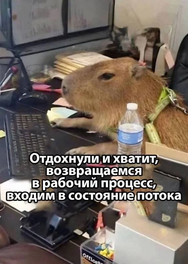 🌧 Доброе утро, друзья