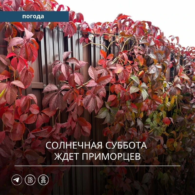 📰 Солнце в субботу, циклон в воскресенье