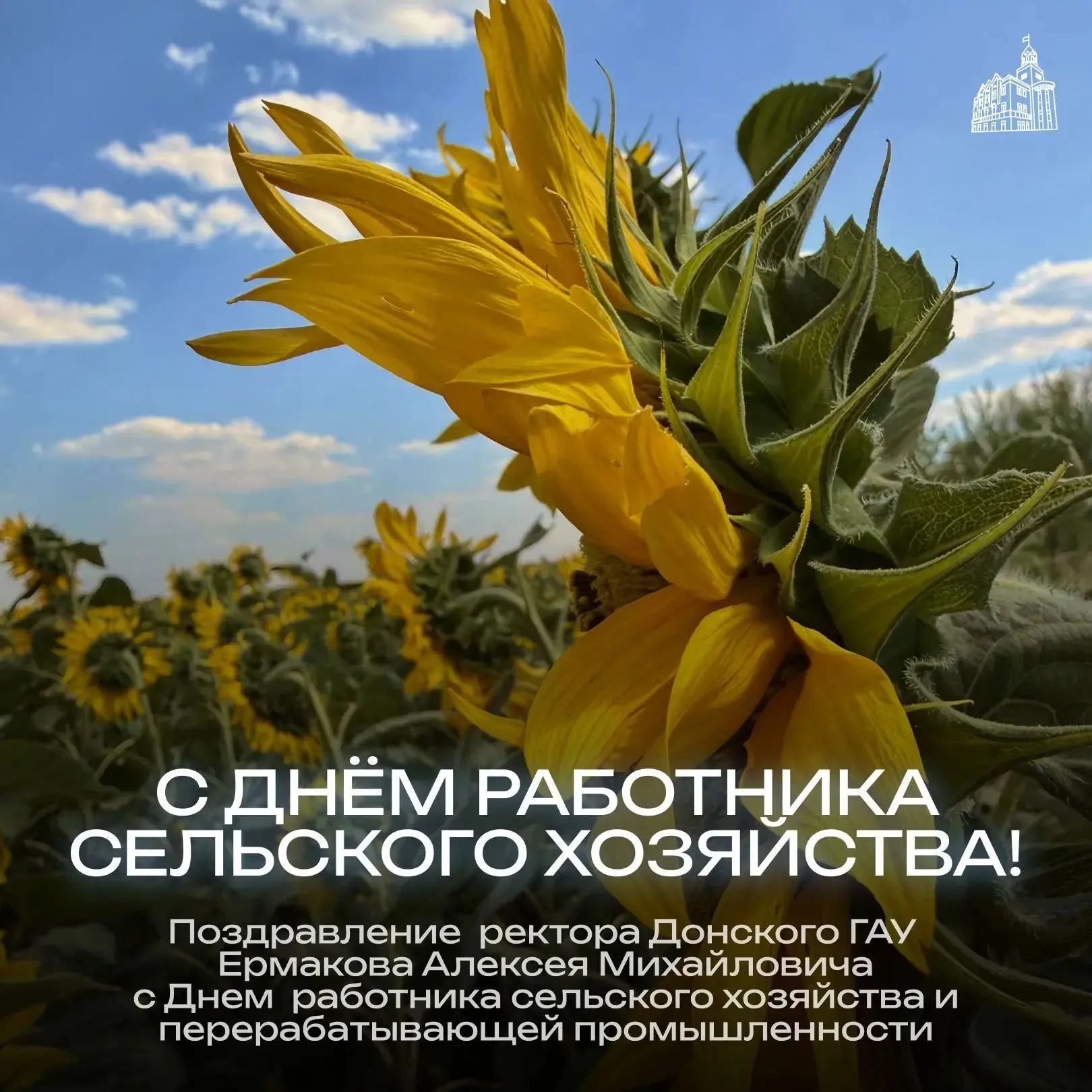 Дорогие коллеги, студенты, партнёры и друзья!