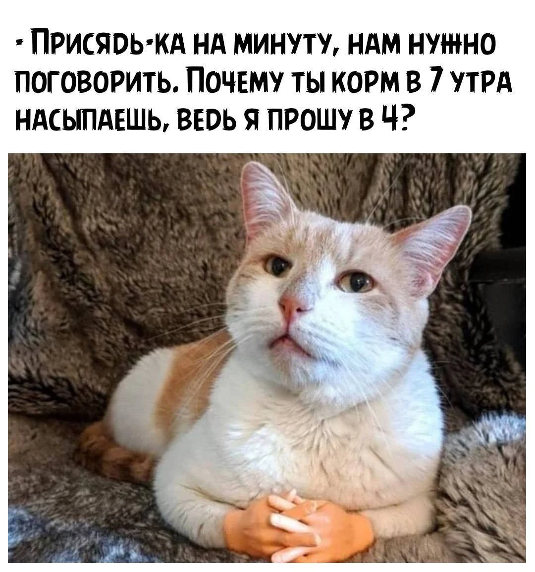 Ветер с Моря Дул