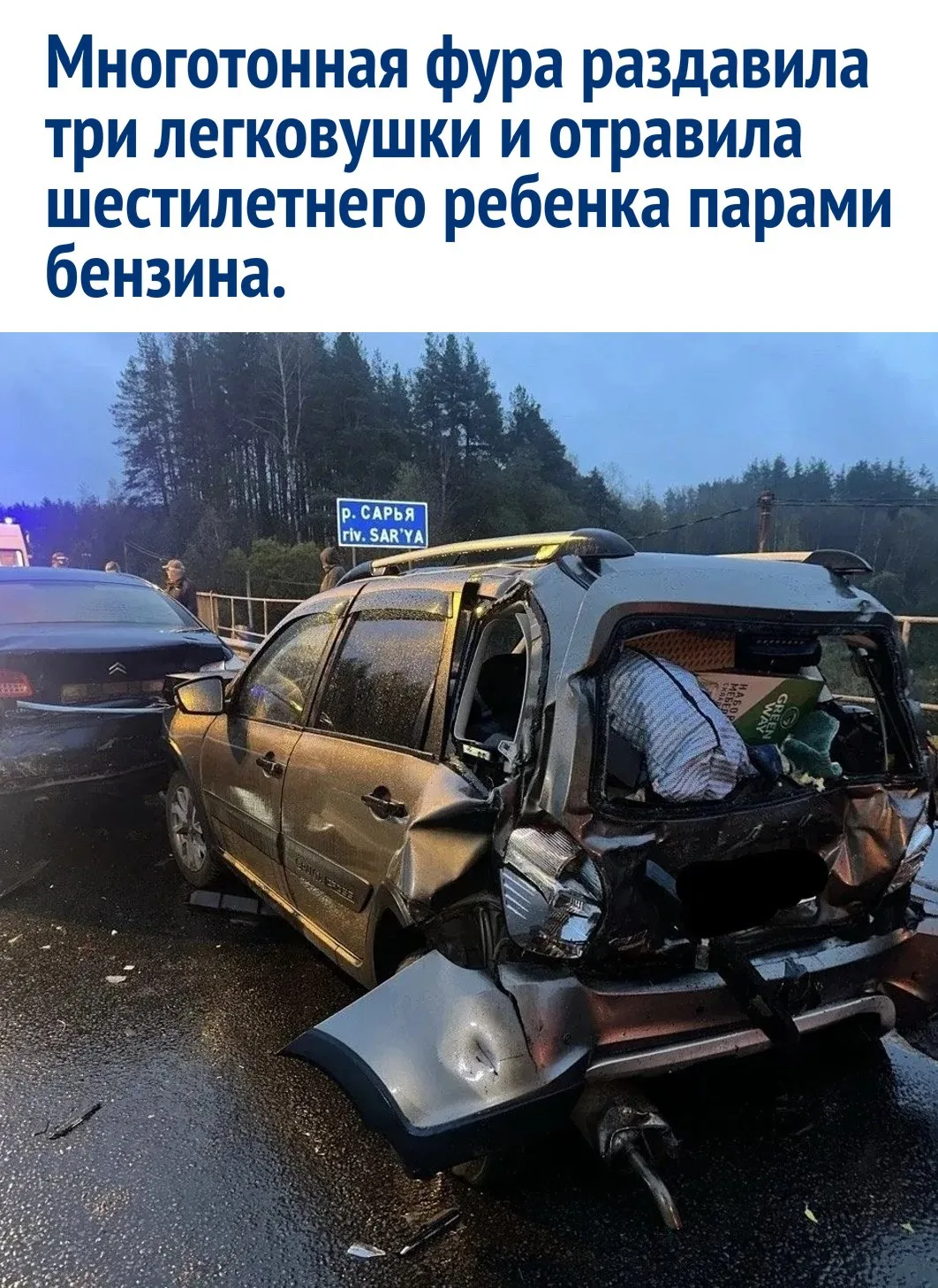 Вечерняя поездка по мурманской трассе закончилась трагедией у деревни Дусьево, когда да...