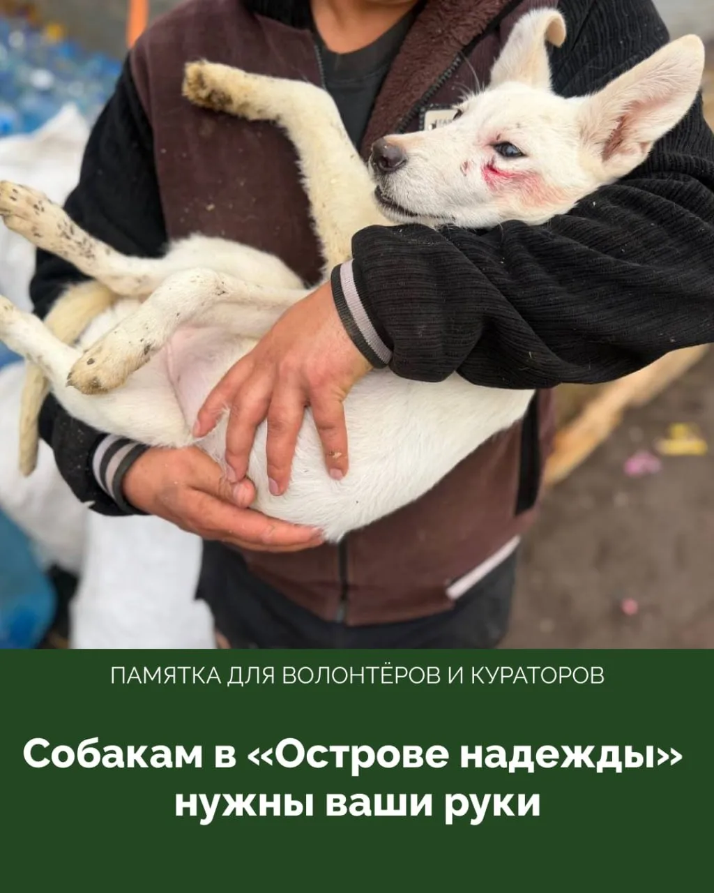 🆘 Собираетесь в «Остров надежды» на выходных? Обязательно прочитайте этот пост!
