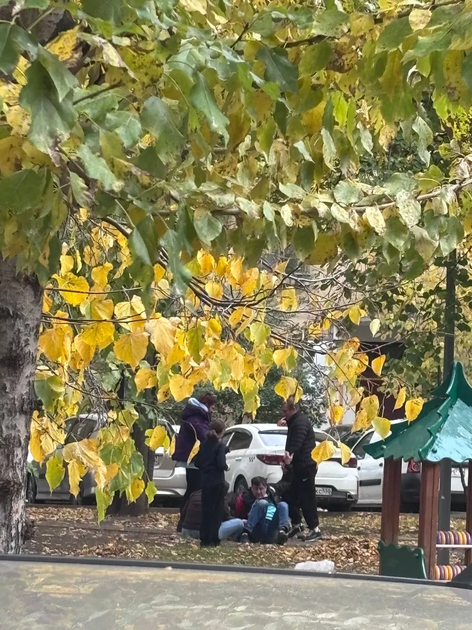 На детской площадке возле школы 1560 на карамышевской набережной и садика лежат 4 челов...