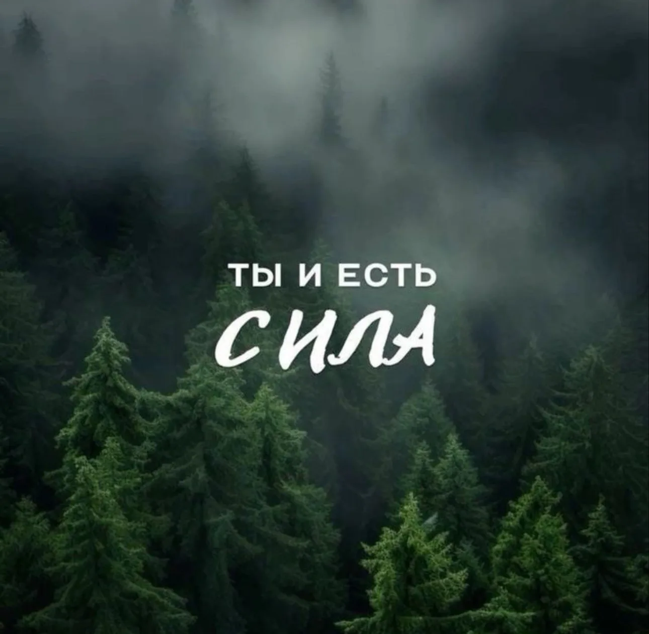 ☕️ Настройка дня