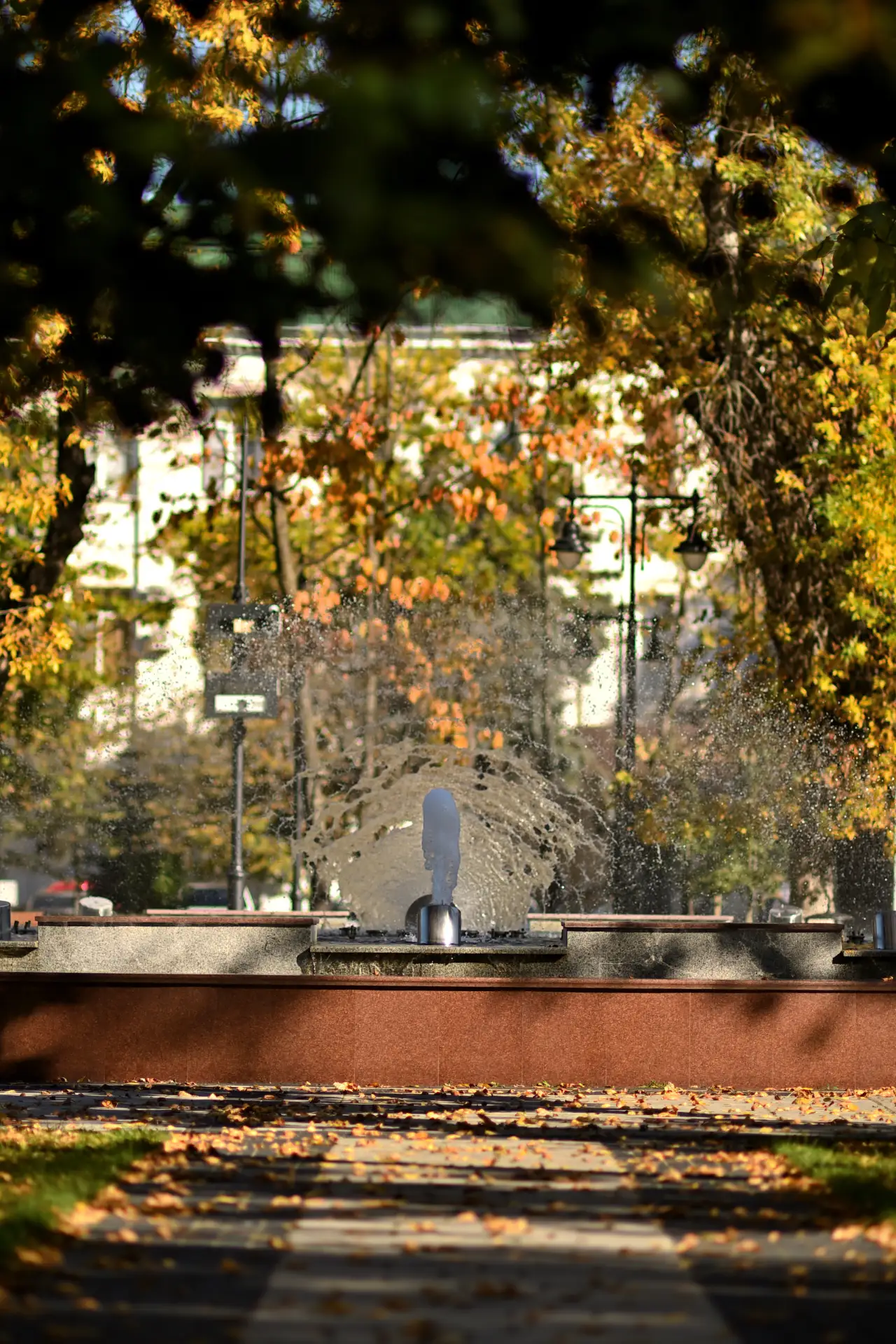 Октябрь — пора золотой осени 🍁