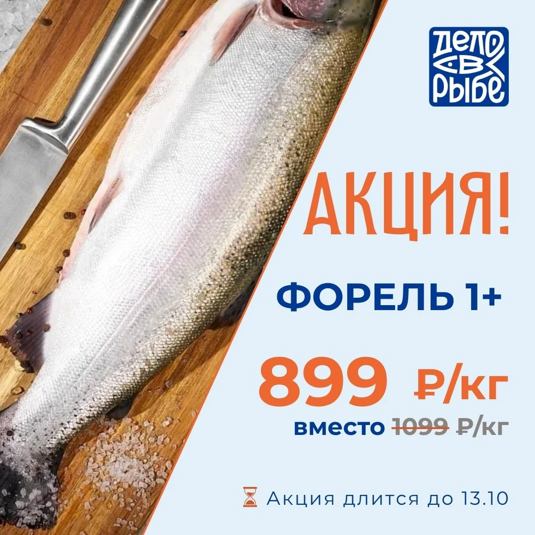 🔥 АКЦИЯ: ФОРЕЛЬ 1+ ВСЕГО 899 ₽/КГ!