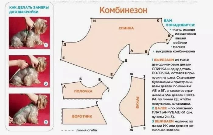 Комбез для домашнего любимца.