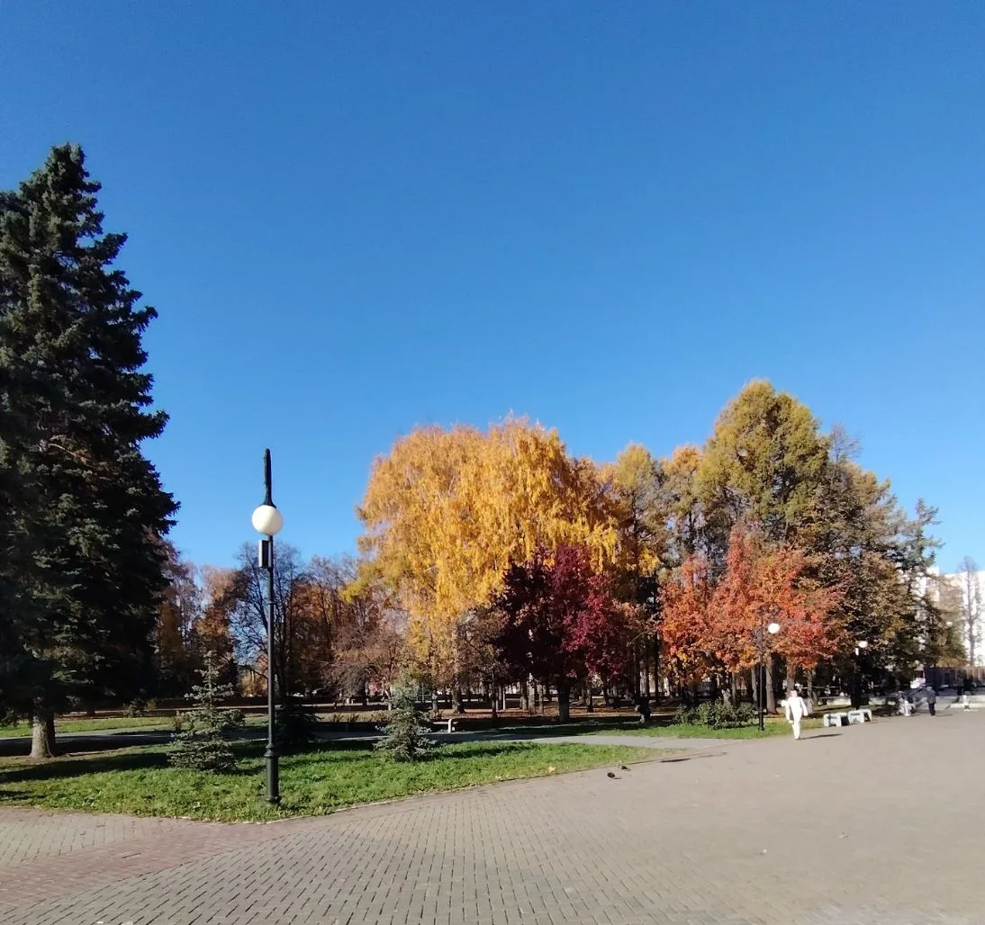 Разноцветная осень 🍁