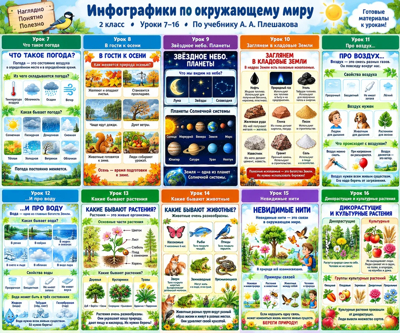 Готова новая серия инфографик по окружающему миру для 2 класса — уроки 7–16 по учебнику...