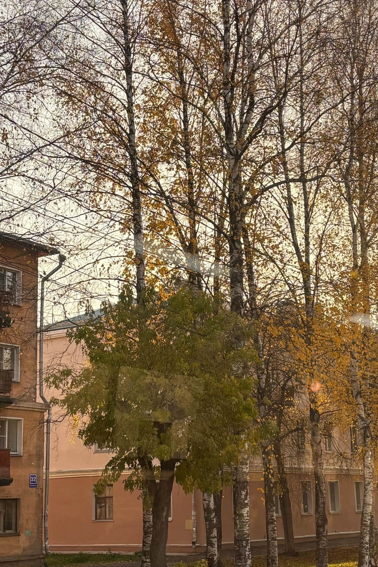 ⛅️14 октября в Кирове будет облачно с прояснениями, без существенных осадков.