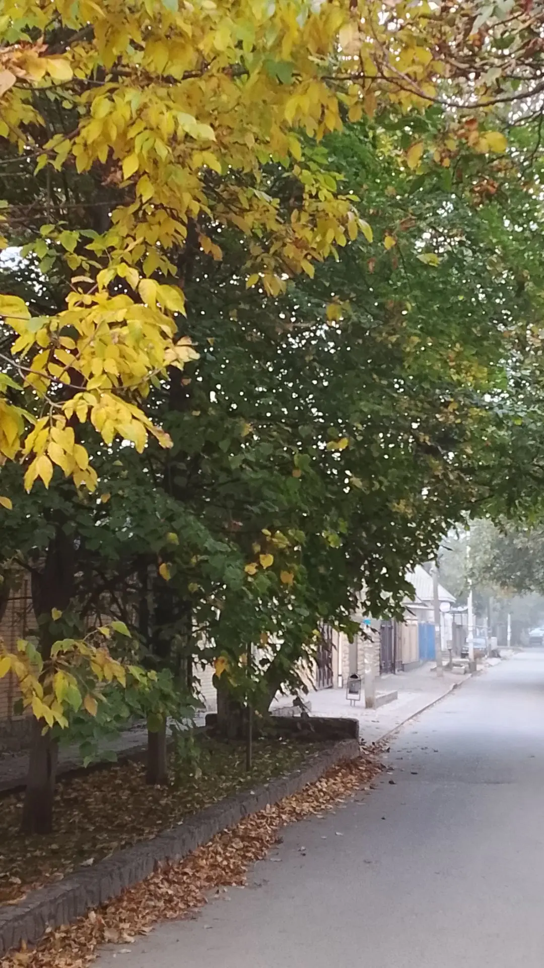Цените тех, которые умеют видеть в Вас три вещи: печаль, скрывающуюся за улыбкой, любов...