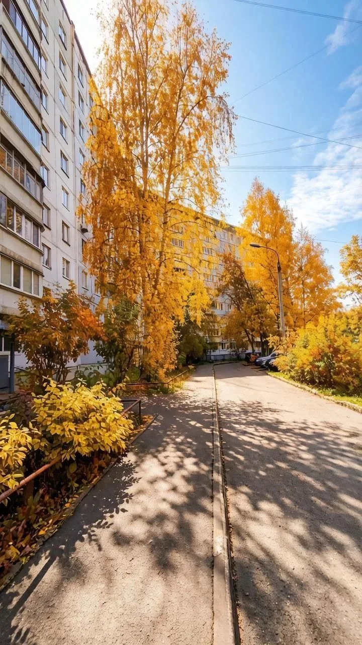 🌆 Сегодня осень решила устроить нам настоящий подарок🌼По данным синоптиков, воздух в ...