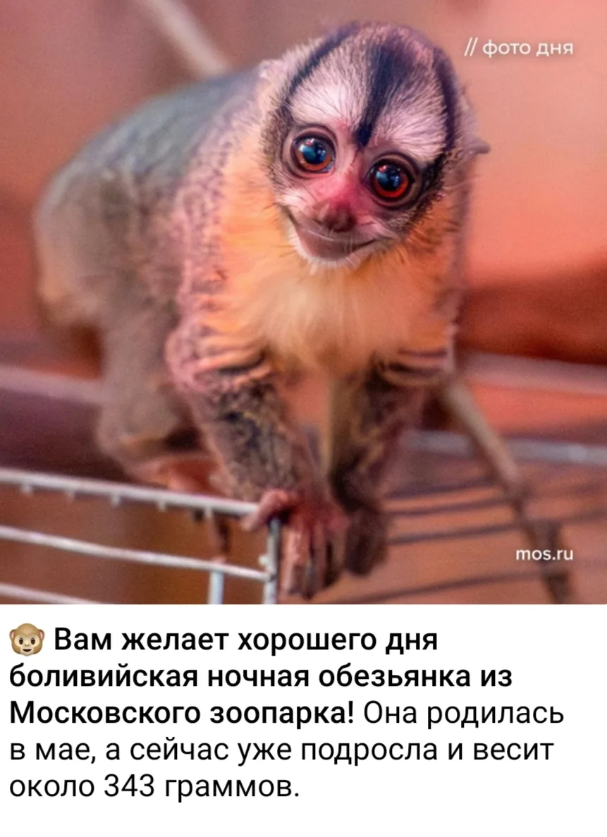 #Милотымногонебывает 🥰
