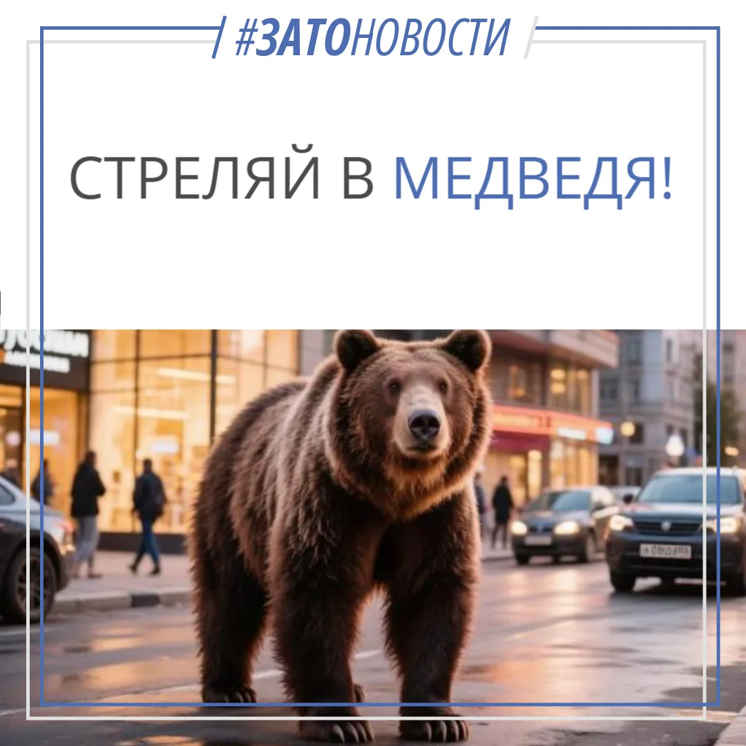 В Нижегородской области разрешили отстрел медведей, выходящих к людям