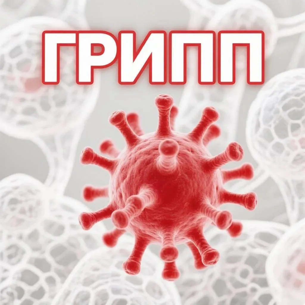 Вакцинация против гриппа