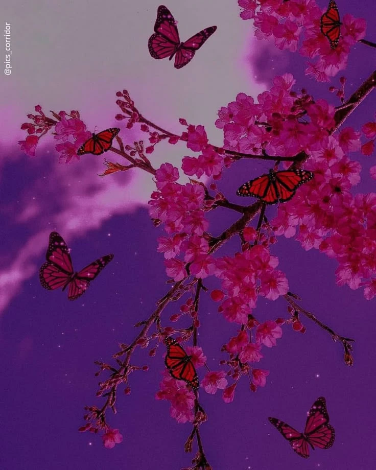 💜 Фиолетовая эстетика