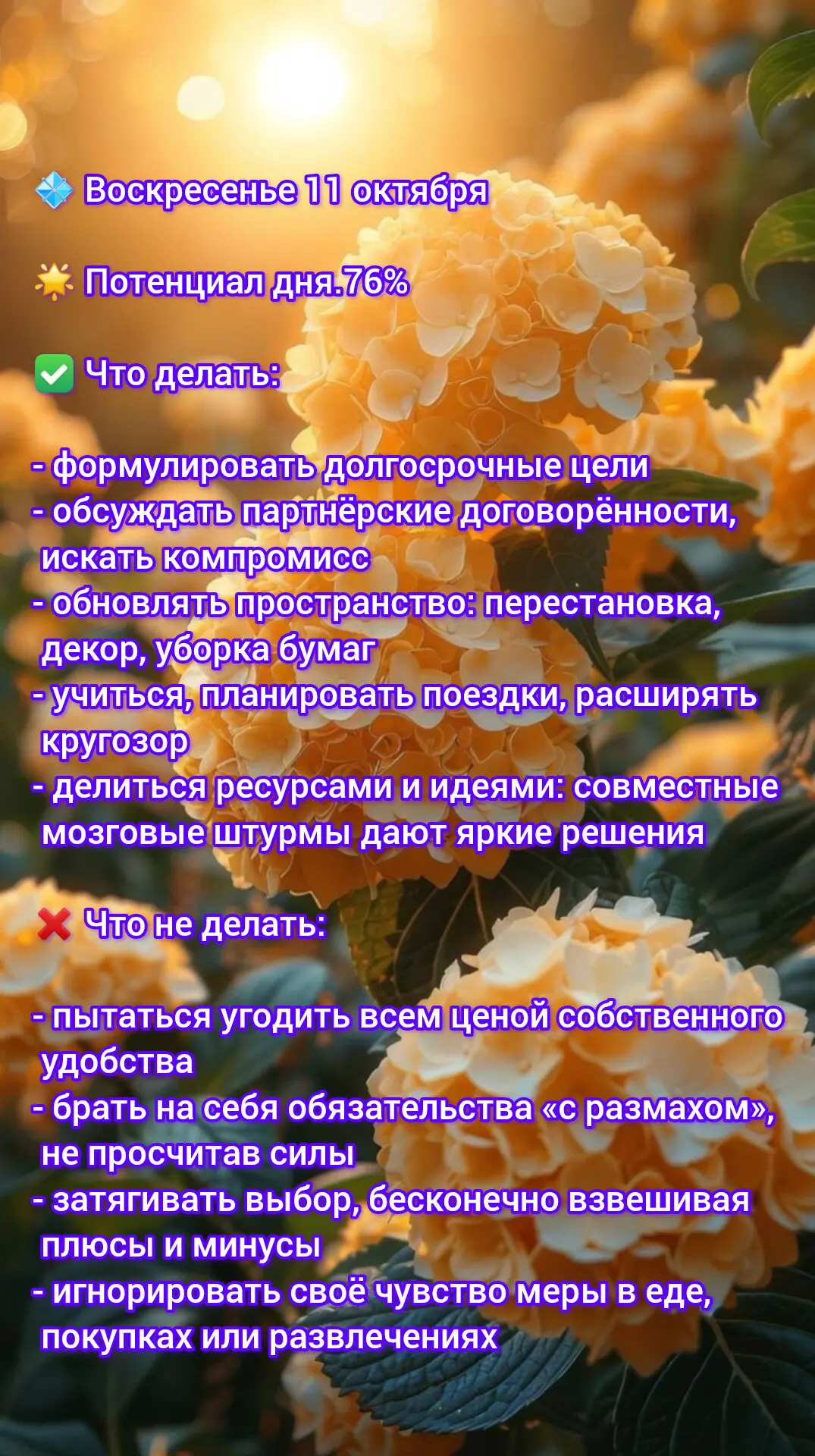 🦋Прогноз дня на 11 октября