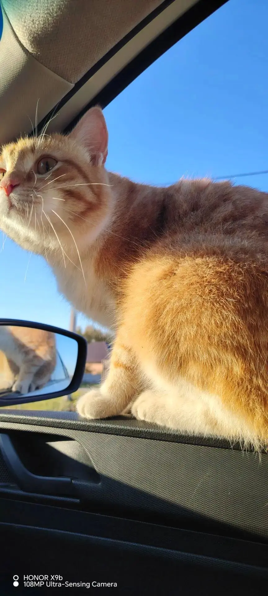 🆘 ПРОПАЛ КОТИК, 2 ГОДА ❗