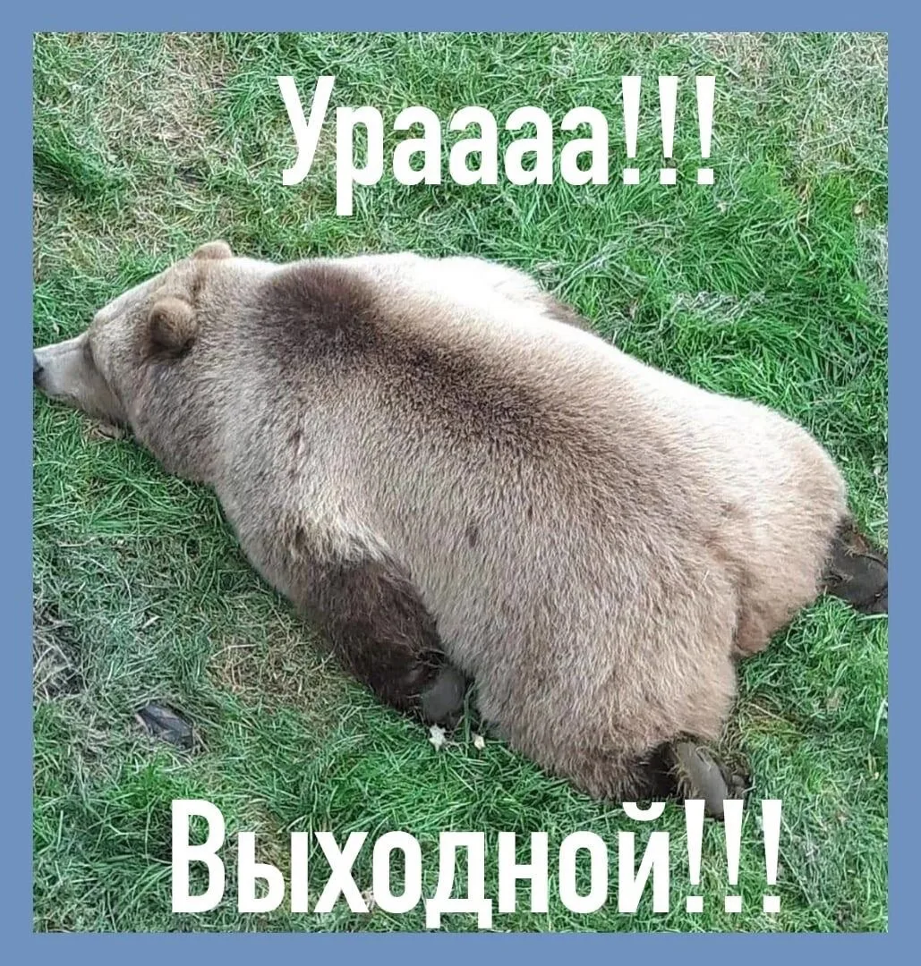 Какой хороший понедельник сегодня 🔥