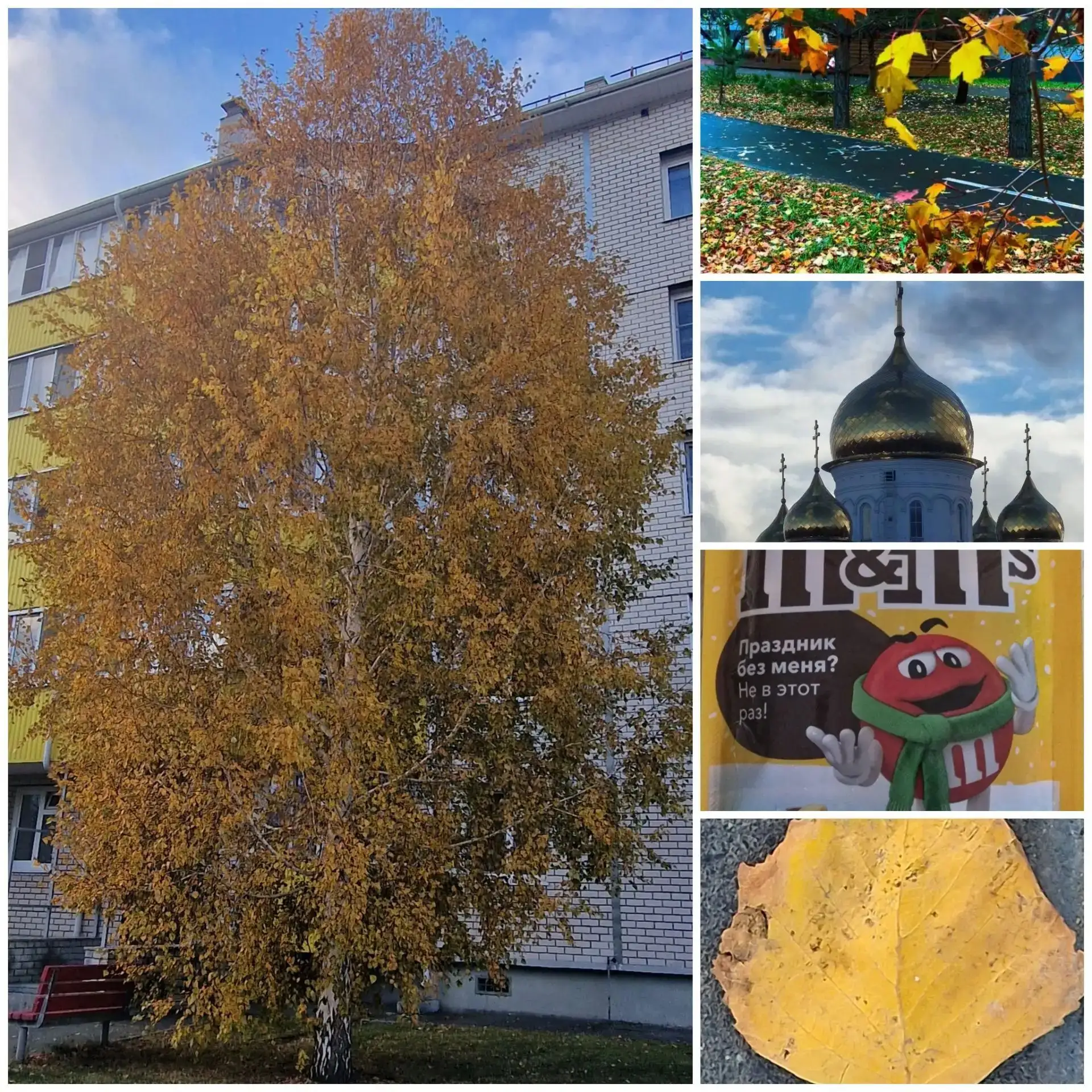 Семейный марафон✨