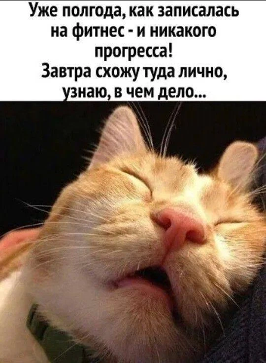 😃Картинки для настроения|👉 Подписаться