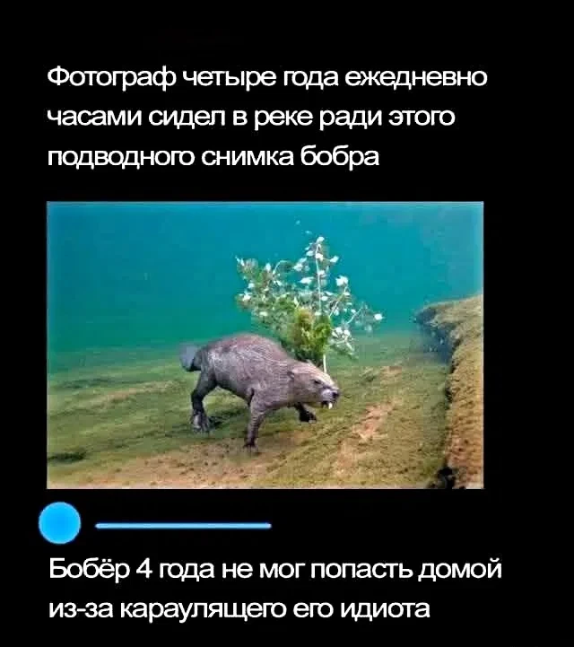 Подпишись на юмор 😂