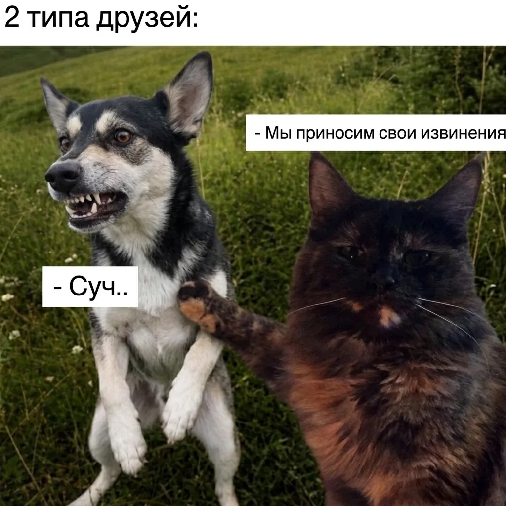 😁😁😁