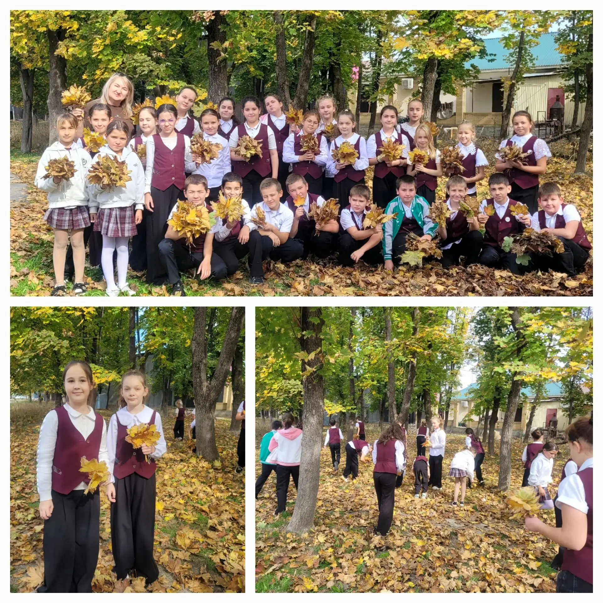🍂 Осенняя прогулка 4 "Б" класса, кл. руководитель Карданова Л.В. 🍂Сегодня мы с ребята...