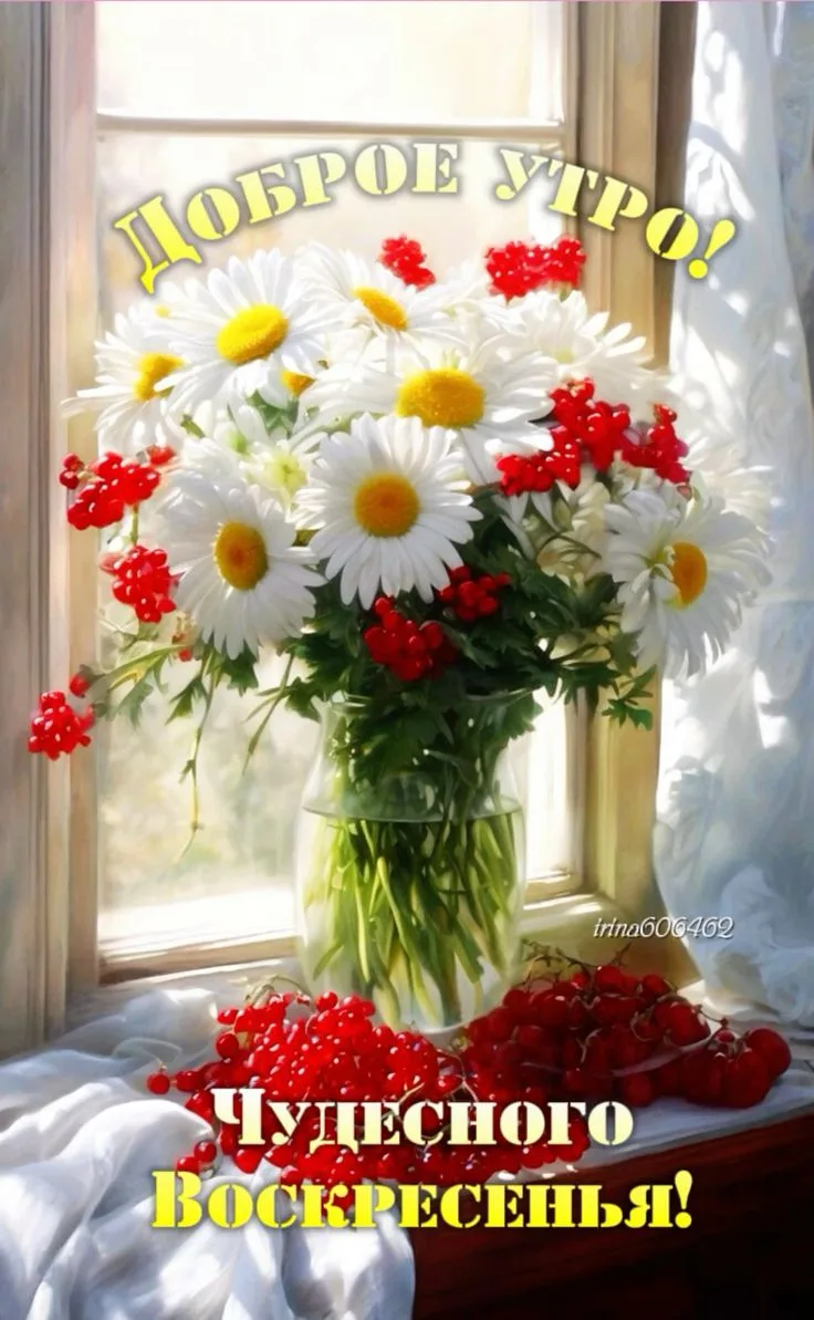 🥰Ставьте реакции и делитесь открыткой с близкими ❤️