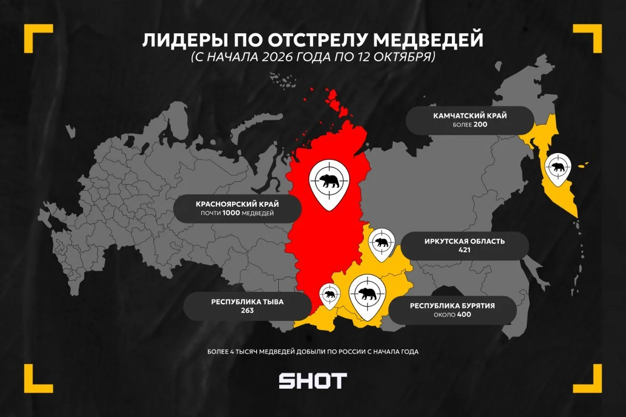4 тысячи медведей уничтожены в России с начала года