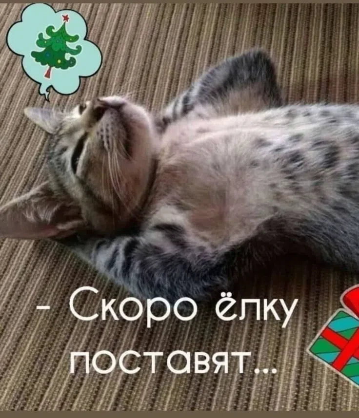 Подпишись на юмор 😂